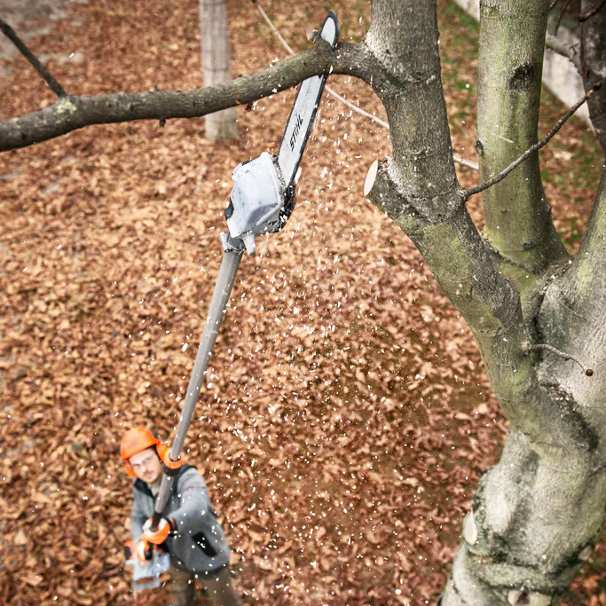 Petrol Long Arm Chainsaw (002).jpg (597 KB)